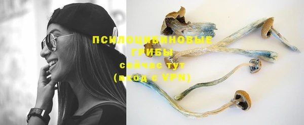 PSILOCYBIN Алексин