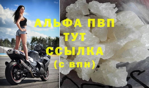 крисы Алзамай