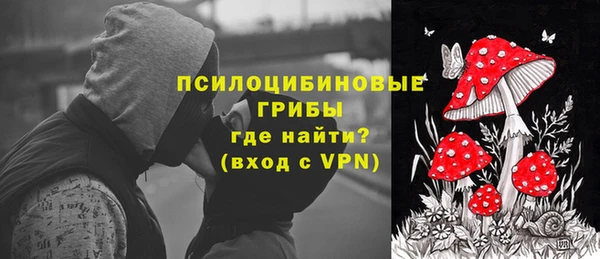 крисы Алзамай