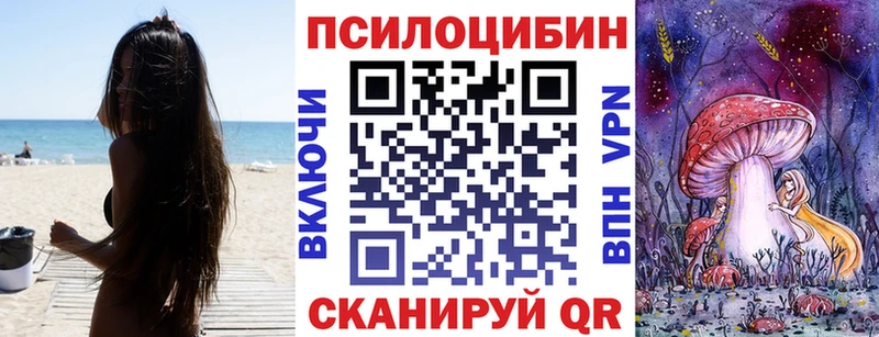 как найти   мега как войти  Псилоцибиновые грибы MAGIC MUSHROOMS  Заволжье 