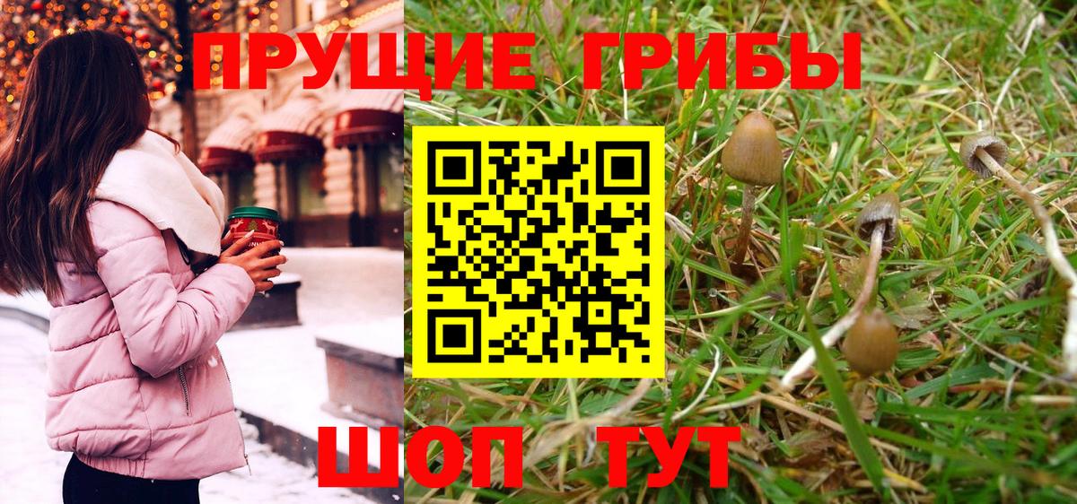 Галлюциногенные грибы Cubensis Заволжье