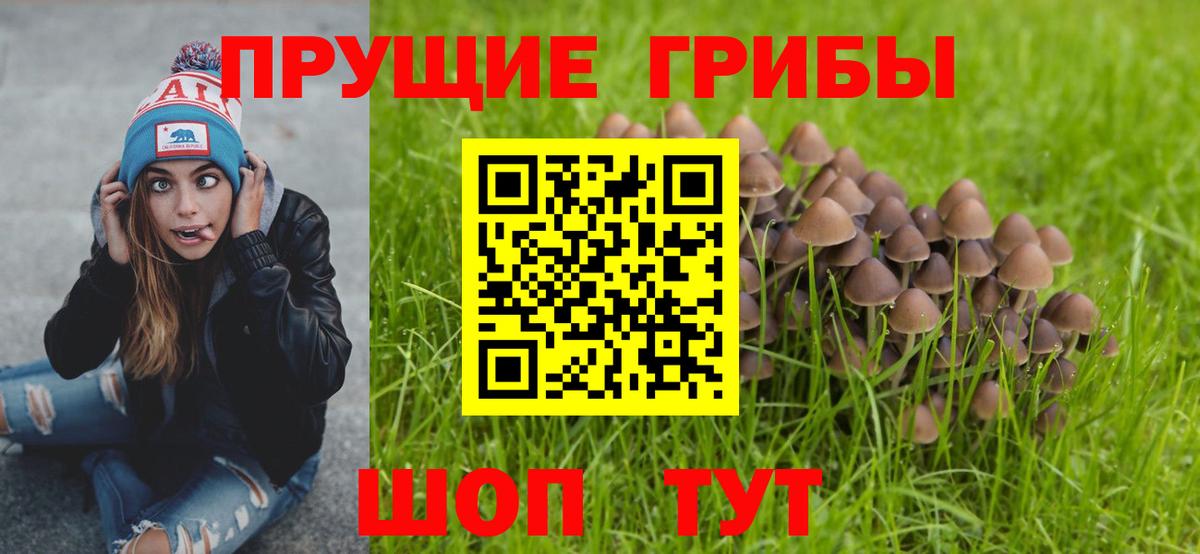 Галлюциногенные грибы Cubensis  Вход с VPN  Заволжье 