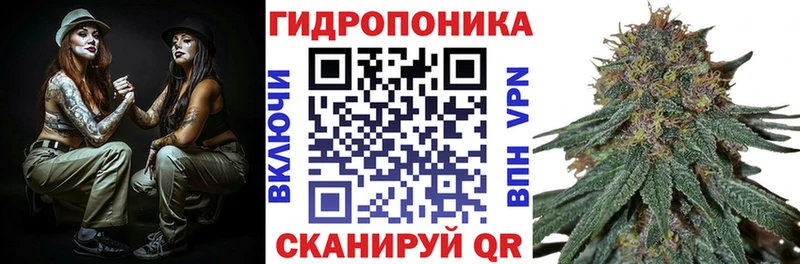 где купить наркоту  Заволжье  Канабис THC 21% 